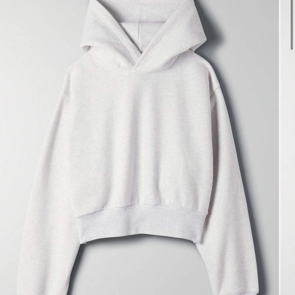 Aritzia tna perfect shrunken hoodie